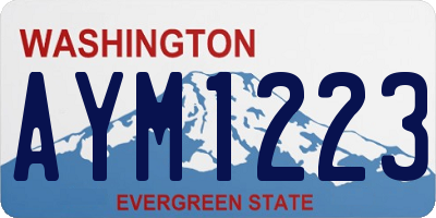 WA license plate AYM1223
