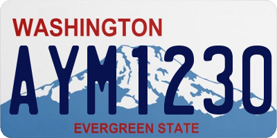 WA license plate AYM1230