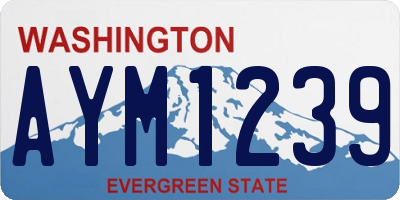 WA license plate AYM1239