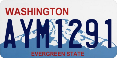 WA license plate AYM1291