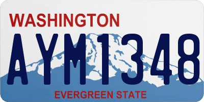 WA license plate AYM1348