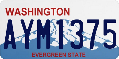 WA license plate AYM1375