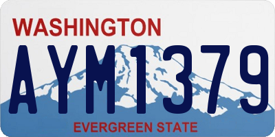 WA license plate AYM1379