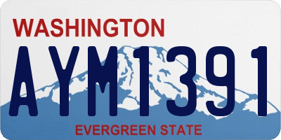 WA license plate AYM1391