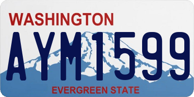 WA license plate AYM1599