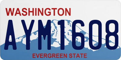 WA license plate AYM1608