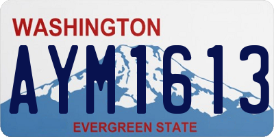WA license plate AYM1613