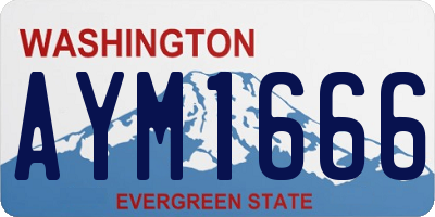 WA license plate AYM1666