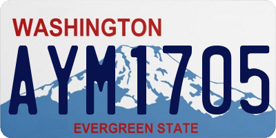 WA license plate AYM1705
