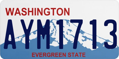 WA license plate AYM1713