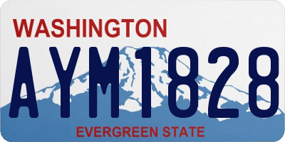 WA license plate AYM1828