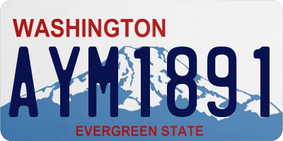 WA license plate AYM1891