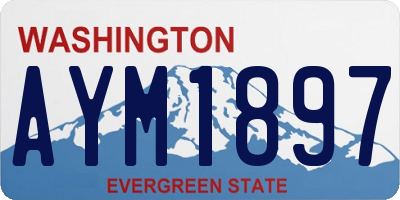 WA license plate AYM1897