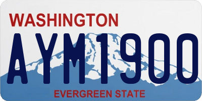 WA license plate AYM1900