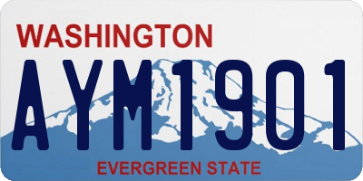 WA license plate AYM1901