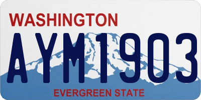 WA license plate AYM1903