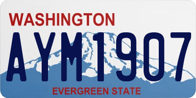 WA license plate AYM1907