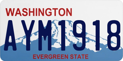 WA license plate AYM1918