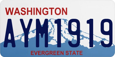 WA license plate AYM1919