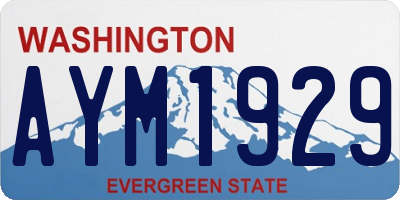 WA license plate AYM1929