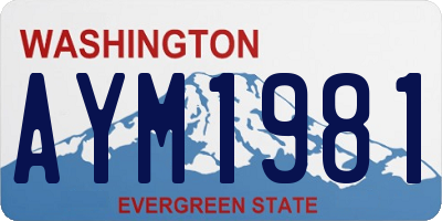 WA license plate AYM1981