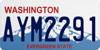WA license plate AYM2291