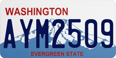WA license plate AYM2509