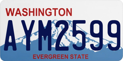 WA license plate AYM2599