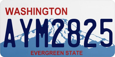 WA license plate AYM2825