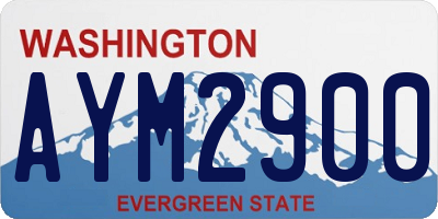 WA license plate AYM2900