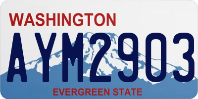 WA license plate AYM2903