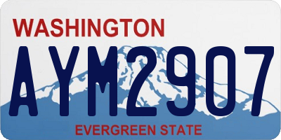 WA license plate AYM2907