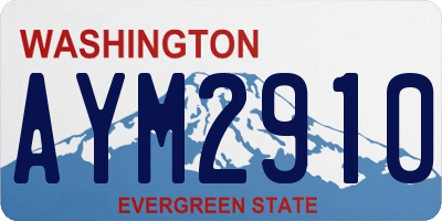 WA license plate AYM2910