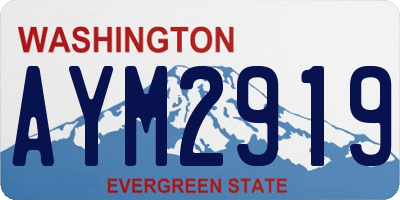 WA license plate AYM2919