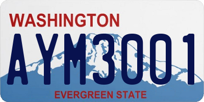 WA license plate AYM3001