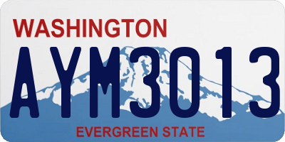 WA license plate AYM3013