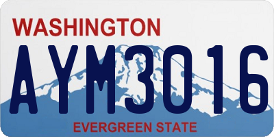 WA license plate AYM3016