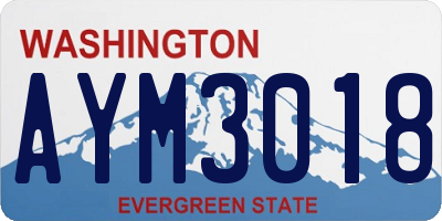 WA license plate AYM3018