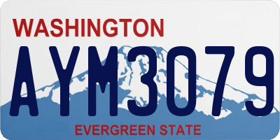 WA license plate AYM3079
