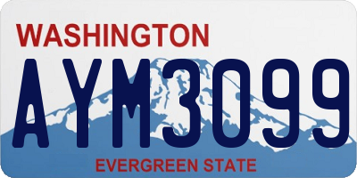 WA license plate AYM3099