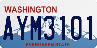 WA license plate AYM3101