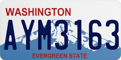 WA license plate AYM3163