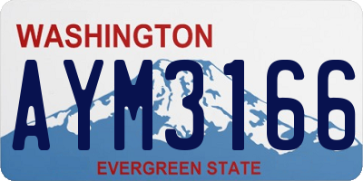 WA license plate AYM3166