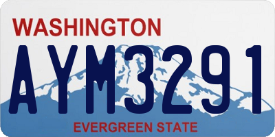 WA license plate AYM3291