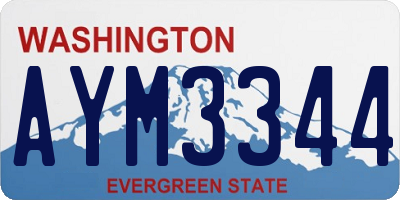 WA license plate AYM3344