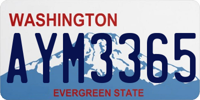 WA license plate AYM3365