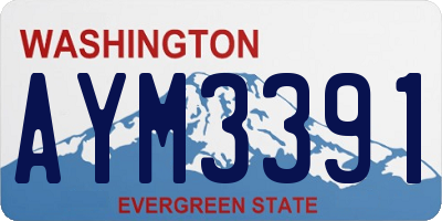 WA license plate AYM3391
