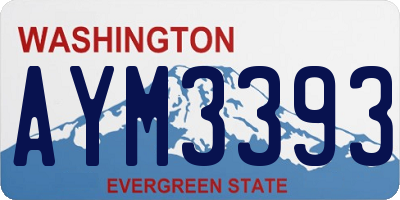 WA license plate AYM3393
