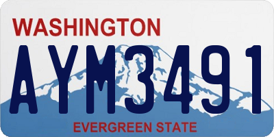 WA license plate AYM3491