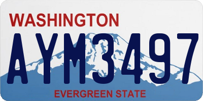 WA license plate AYM3497
